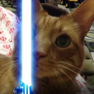 Meet your Posher, Kylie